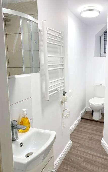 Central Studio Flat Bukarest Eksteriør billede